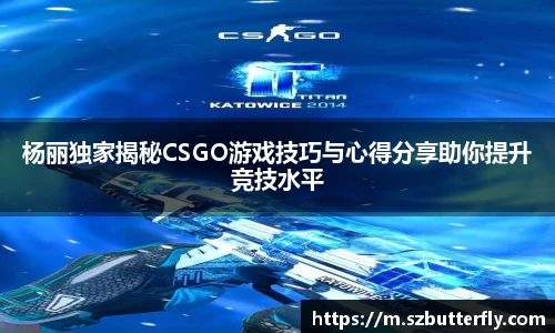 杨丽独家揭秘CSGO游戏技巧与心得分享助你提升竞技水平