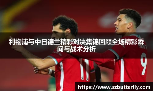 mk体育