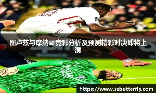 mk体育官网