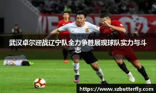 Mksport体育app官网入口
