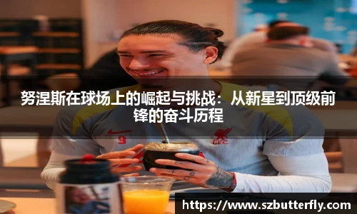 努涅斯在球场上的崛起与挑战：从新星到顶级前锋的奋斗历程