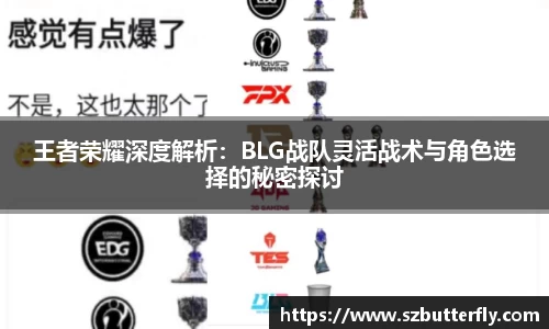 Mksport体育app官网入口